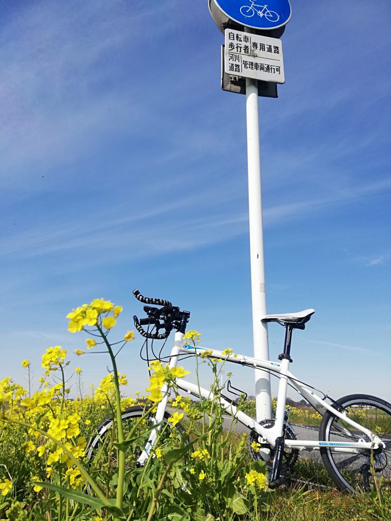 柏から権現堂まで往復80キロ行ってきました。利根運河～江戸川に沿って 