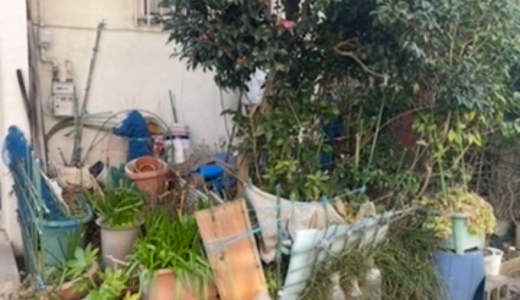 【柏市・遺品整理】玄関先の緑を整え、思い出の詰まった3DKを清々しく。2日間で未来へつなぐお片付け